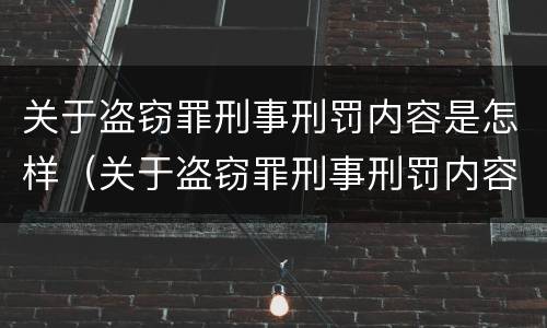 关于盗窃罪刑事刑罚内容是怎样（关于盗窃罪刑事刑罚内容是怎样写的）