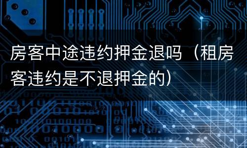 房客中途违约押金退吗（租房客违约是不退押金的）