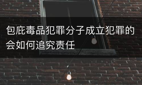 包庇毒品犯罪分子成立犯罪的会如何追究责任