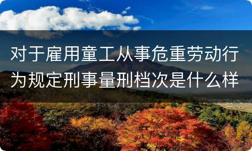 对于雇用童工从事危重劳动行为规定刑事量刑档次是什么样