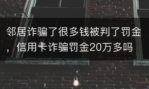 邻居诈骗了很多钱被判了罚金，信用卡诈骗罚金20万多吗