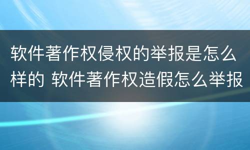 软件著作权侵权的举报是怎么样的 软件著作权造假怎么举报