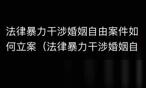 法律暴力干涉婚姻自由案件如何立案（法律暴力干涉婚姻自由案件如何立案起诉）