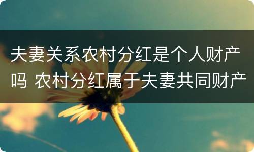 夫妻关系农村分红是个人财产吗 农村分红属于夫妻共同财产