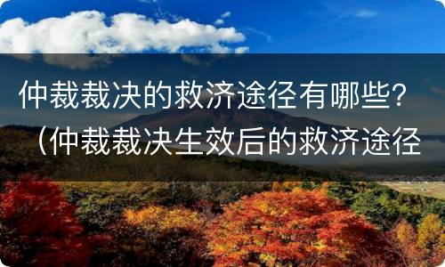 仲裁裁决的救济途径有哪些？（仲裁裁决生效后的救济途径）