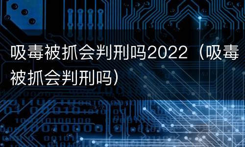 吸毒被抓会判刑吗2022（吸毒被抓会判刑吗）