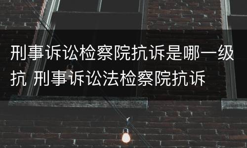 刑事诉讼检察院抗诉是哪一级抗 刑事诉讼法检察院抗诉