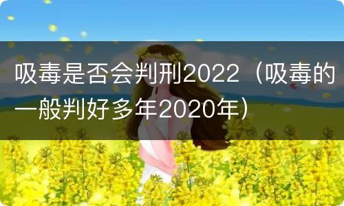 吸毒是否会判刑2022（吸毒的一般判好多年2020年）