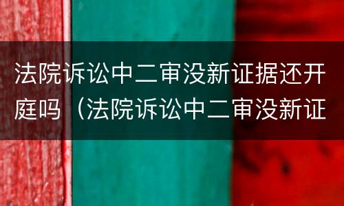 法院诉讼中二审没新证据还开庭吗（法院诉讼中二审没新证据还开庭吗）