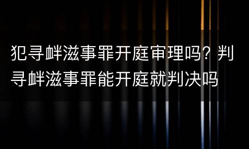 犯寻衅滋事罪开庭审理吗? 判寻衅滋事罪能开庭就判决吗