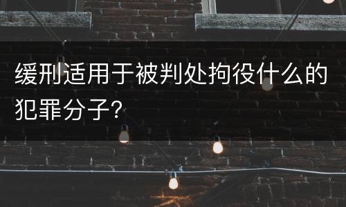 缓刑适用于被判处拘役什么的犯罪分子？