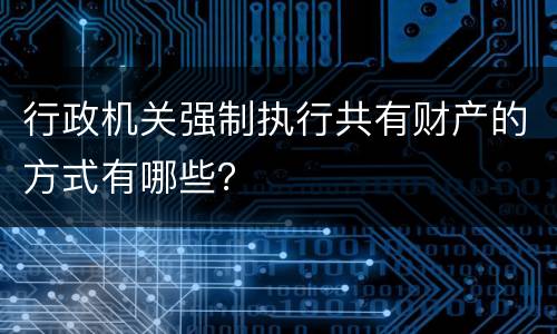 行政机关强制执行共有财产的方式有哪些？