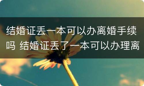 结婚证丢一本可以办离婚手续吗 结婚证丢了一本可以办理离婚手续吗