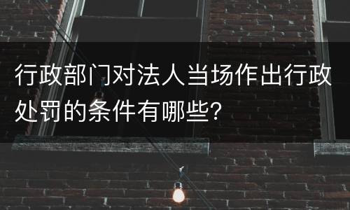 行政部门对法人当场作出行政处罚的条件有哪些？